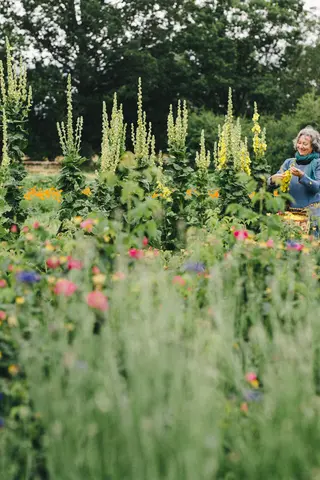 Frau arbeitet im Blumenfeld