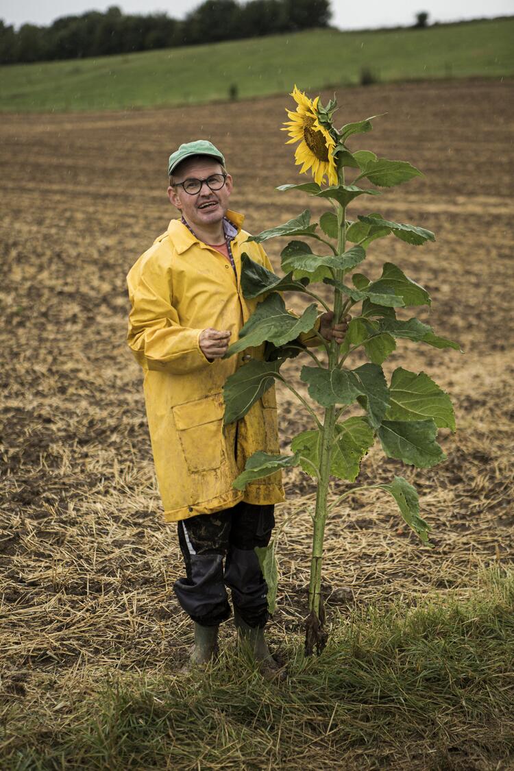 Mann auf Feld mit Sonnenblume