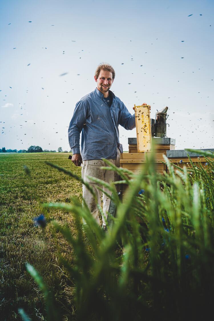 Imker bei seinen Bienen