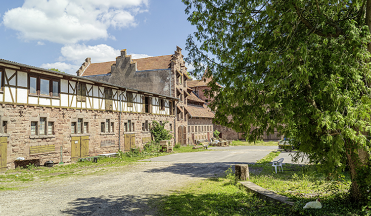 Gut Mönchhof im Meißnervorland