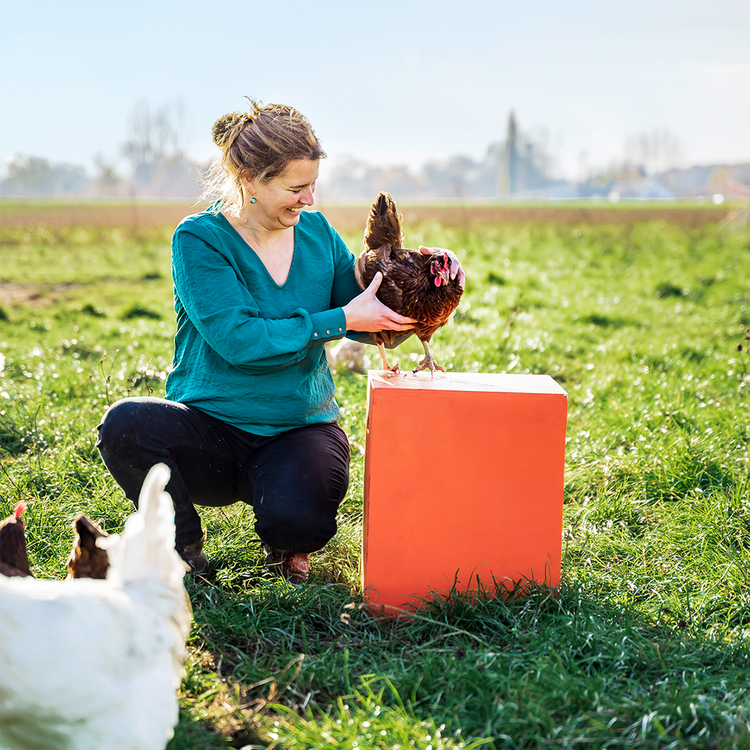 Inga Günther mit Huhn auf orange Cube