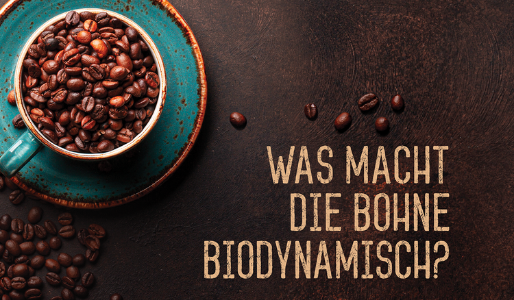 Was macht die Bohne biodynamisch?