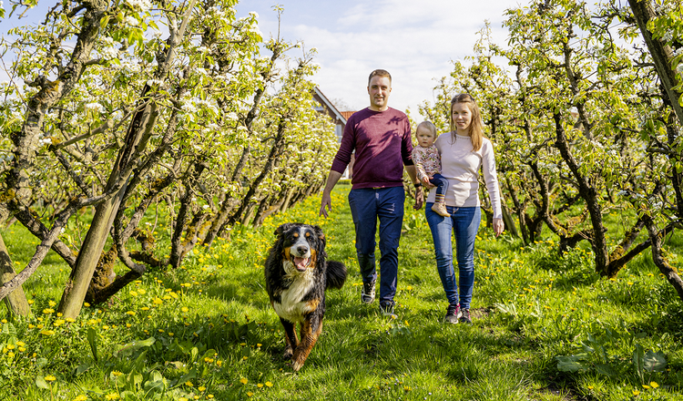 Spaziergang auf der Plantage