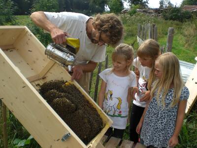 Die Welt der Bienen fasziniert.