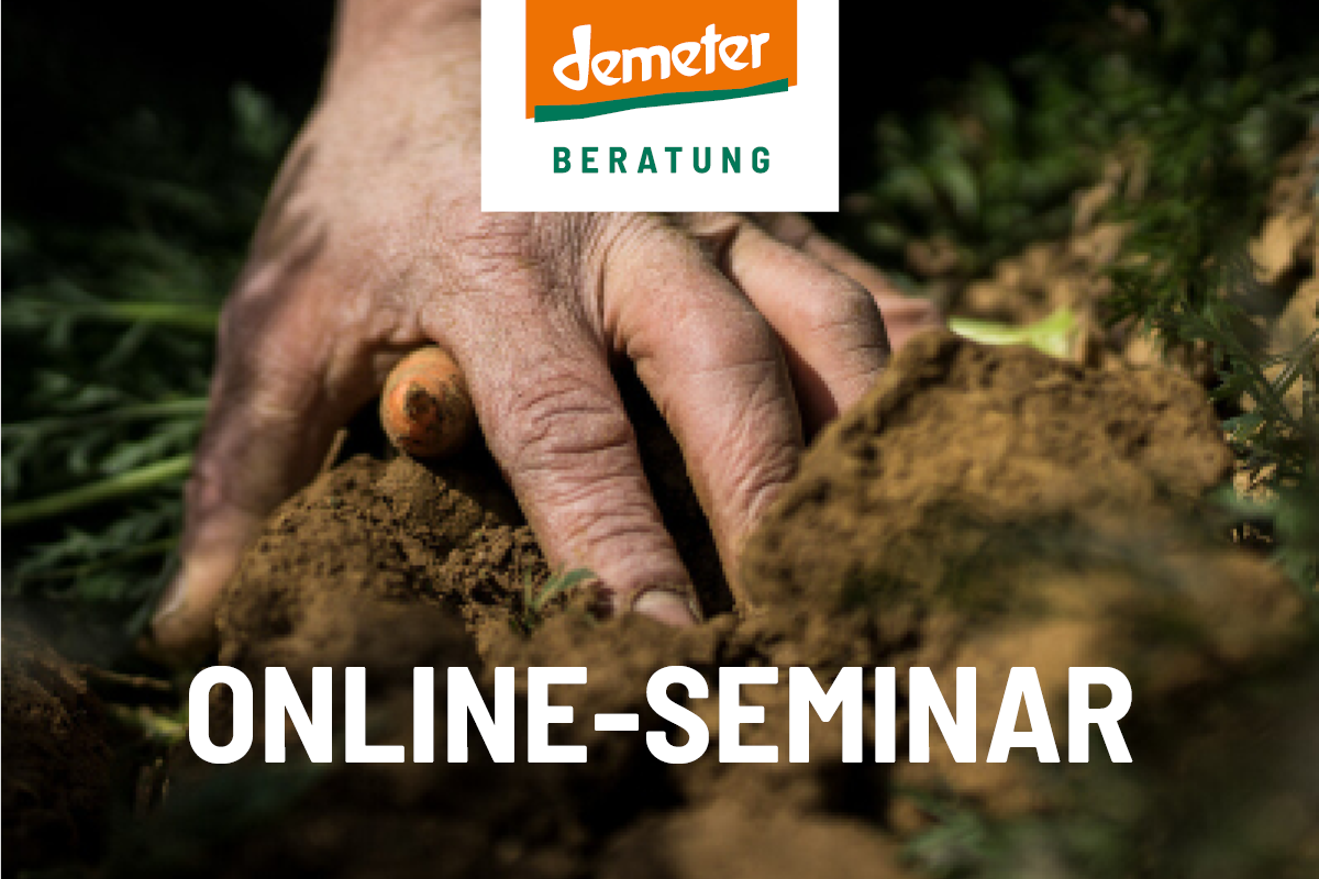 Online-Seminar 