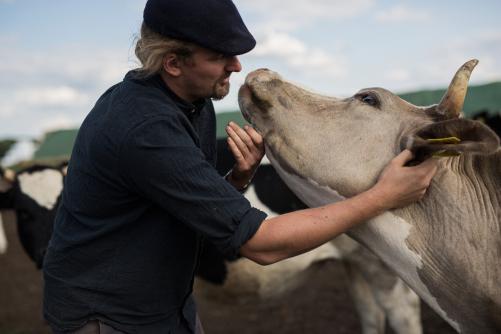 Landwirt streichelt einer Kuh den Kopf