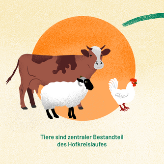 Tiere sind zentraler Bestandteil des Hofkreislaufes. Abgebildet sind eine Kuh, ein Schaf und ein Huhn.