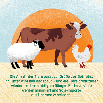 Die Anzahl der Tiere passt zur Größe des Betriebs: Ihr Futter wird hier angebaut — und die Tiere produzieren wiederum den benötigten Dünger. Futterzukäufe werden minimiert und Soja-Importe aus Übersee vermieden. Abgebildet sind eine Kuh, ein Schaf und ein Huhn