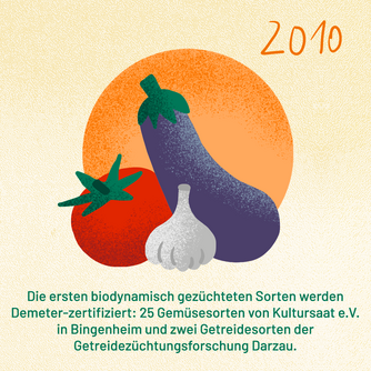 Jahr 2010: Die ersten biodynamisch gezüchteten Sorten werden Demeter-zertifiziert: 25 Gemüsesorten von Kultursaat e.V. in Bingenheim und zwei Getreidesorten der Getreidezüchtungsforschung Darzau. Abgebildet sind eine Tomate, Knoblauch und eine Aubergine