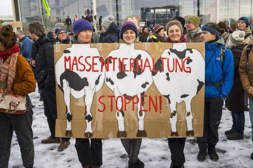 Schild: Massentierhaltung stoppen