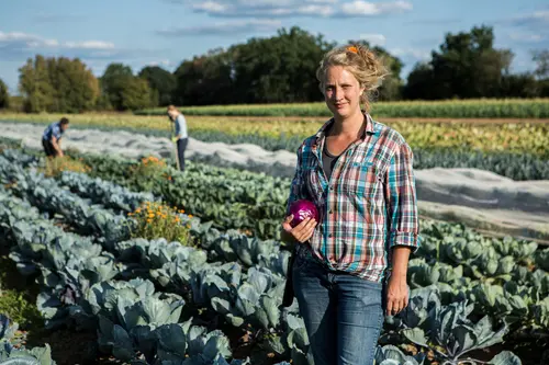 Frau auf dem Feld hält einen Kohlkopf in der Hand