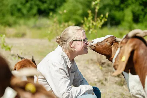 Auszubildende dicht an dicht mit einem Ziegenkopf