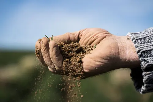 Erde rieselt durch eine Hand