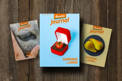 Demeter Journal 57