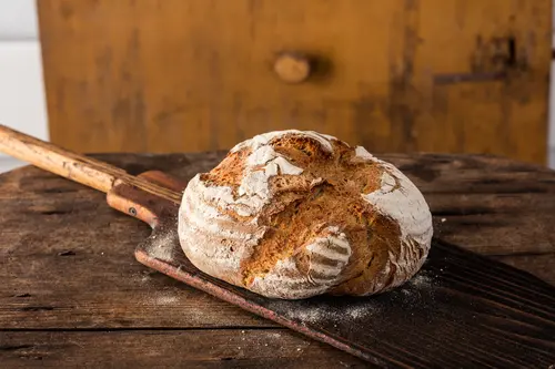 Brot auf einem Brotschieber frisch aus dem Ofen